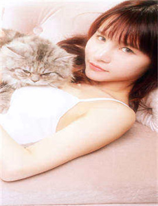 《粉皮网-金莲直播》