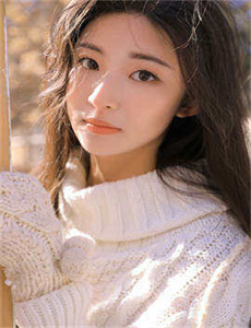 《点解阿sir系阿sir下载-火线保镖女主角》